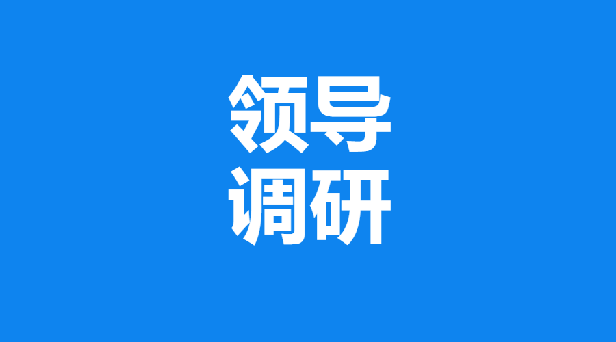 财政部综合司住房土地处张程处长一行莅市调研“汇东盐都印象”楼盘